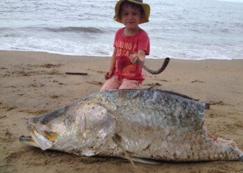 Huge win for Recs in FNQ is already paying dividends